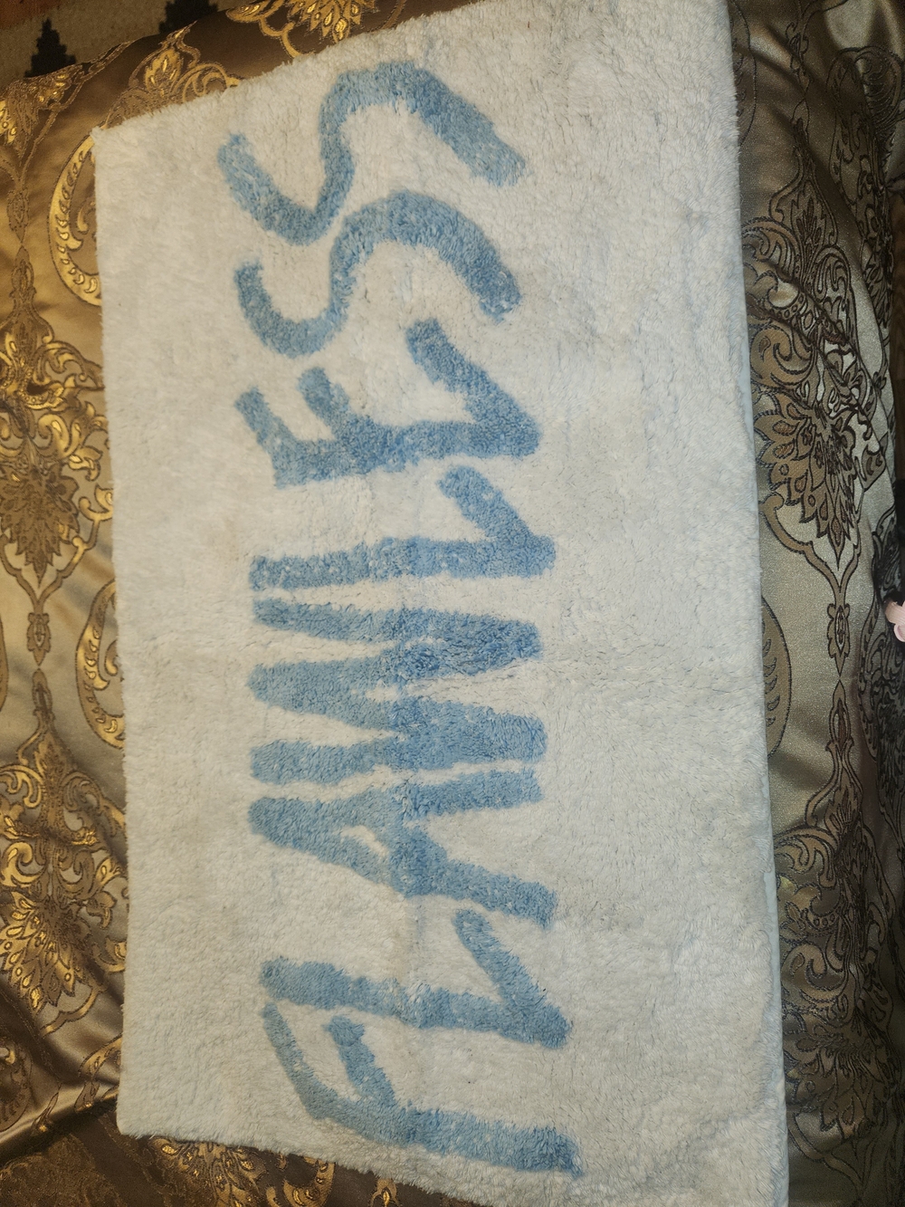 Plush Blue and White Decorative Bath Mat